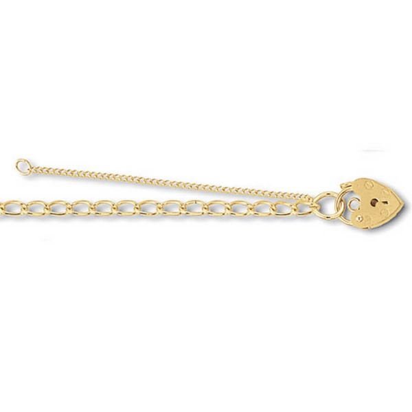 Childs 5inch Charm Bracelet in 9ct Yellow Gold
